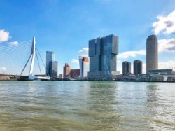 Rotterdam.jpg
