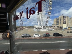 IMG_1165.jpeg